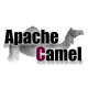 Apache Camel Training in Malaysia