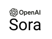 Sora Training in Malaysia